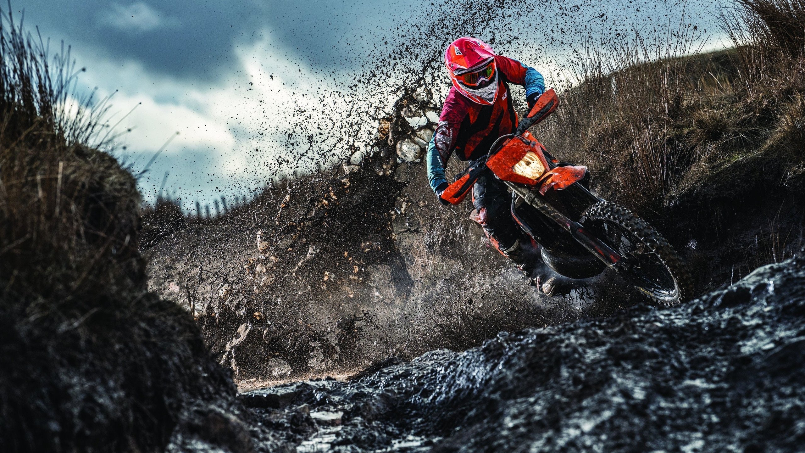 F1巴西站冲刺赛:恭喜诺里斯!皮亚斯特里退赛引发红旗,维斯塔潘落后40分